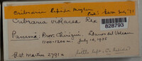 Image Associated With the Occurence